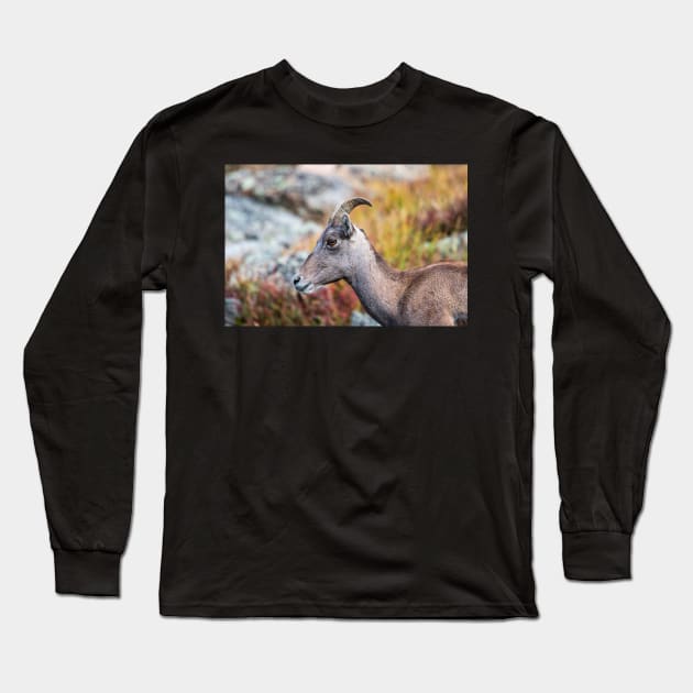 Rocky Mountain Bighorn Long Sleeve T-Shirt by gdb2